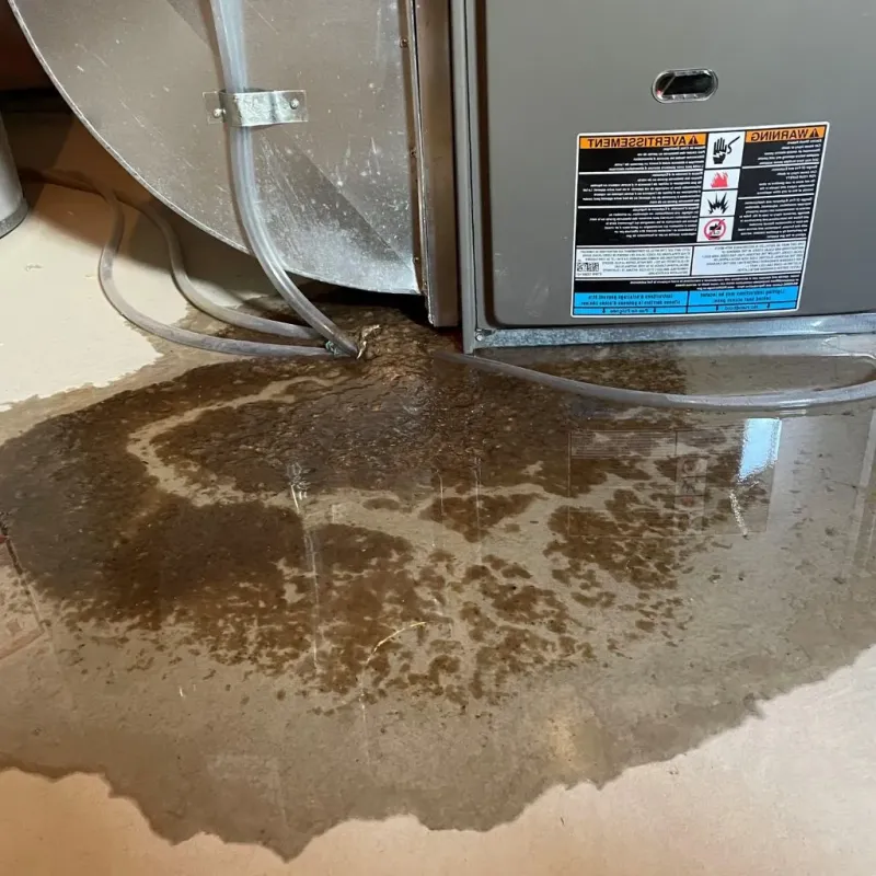 Pipe Burst and Leak Restoration in Ashland, PA