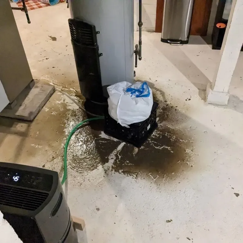 Sewage Backup Cleanup Service in Ashland, PA